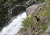 Merano and its surroundings