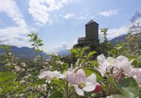 Schloss Tirol