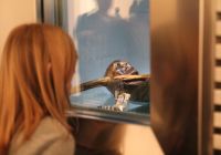 Il Museo di Ötzi a Bolzano