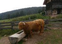 Wandern