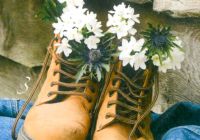 Wandern