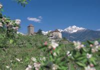 Schloss Tirol Schloss Tirol
