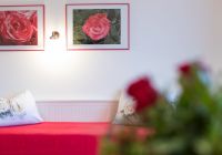 Appartement Rose Appartement Rose