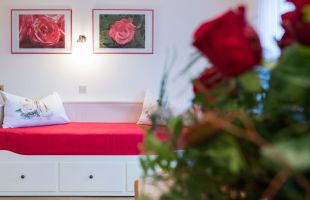 Appartement Rose Appartement Rose